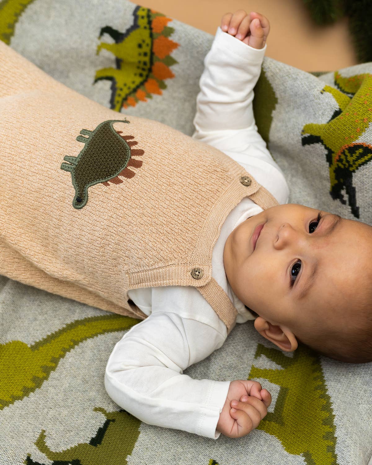 Dino Embroidered Baby Knit Overall Set (Organic): Oatmeal Heather / 12-18M