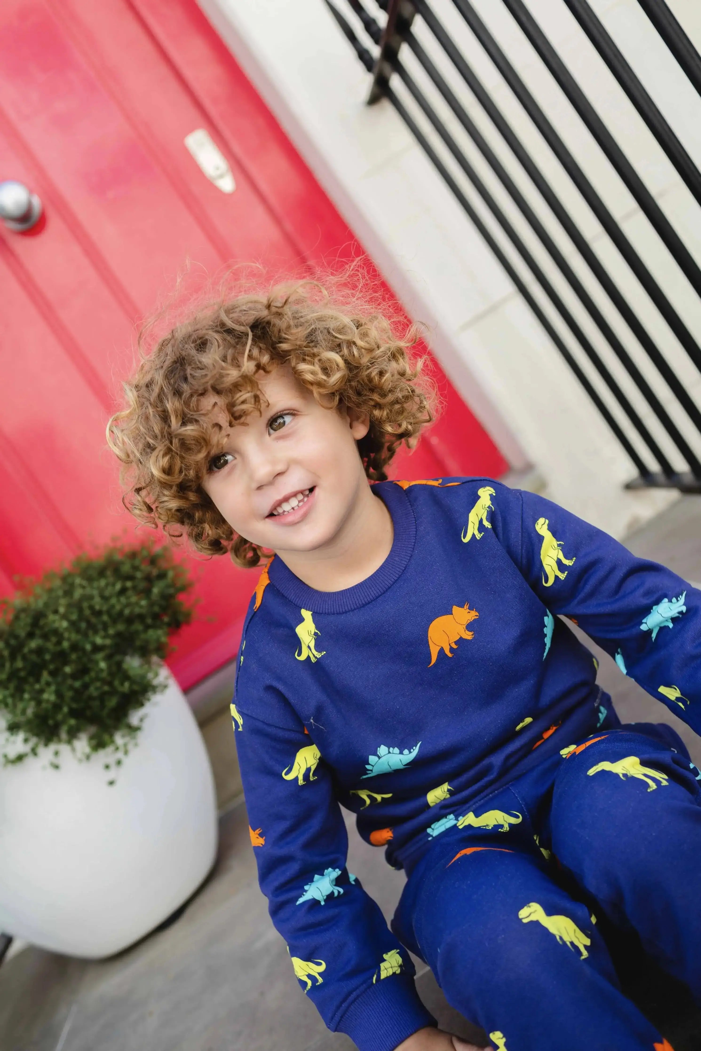 Organic Cotton Everyday Dinosaur Joggers