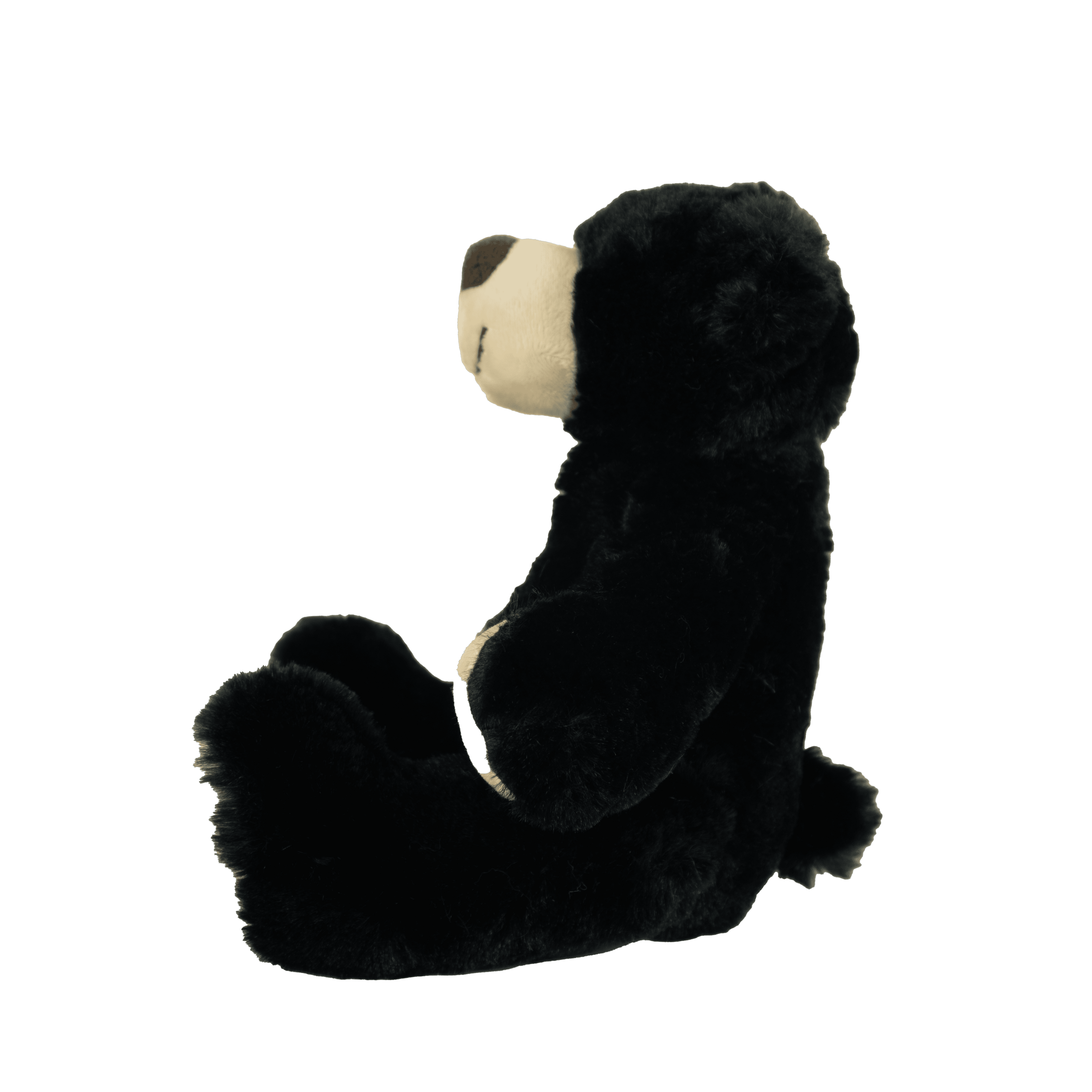 Rufus Black Bear: 11" Rufus