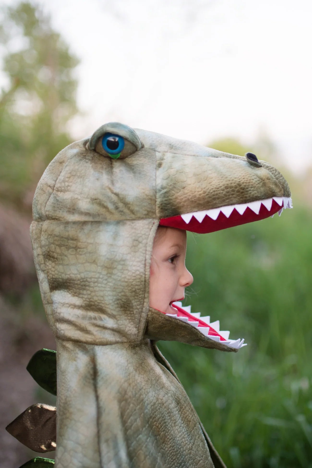 Grandasaurus T-Rex Cape