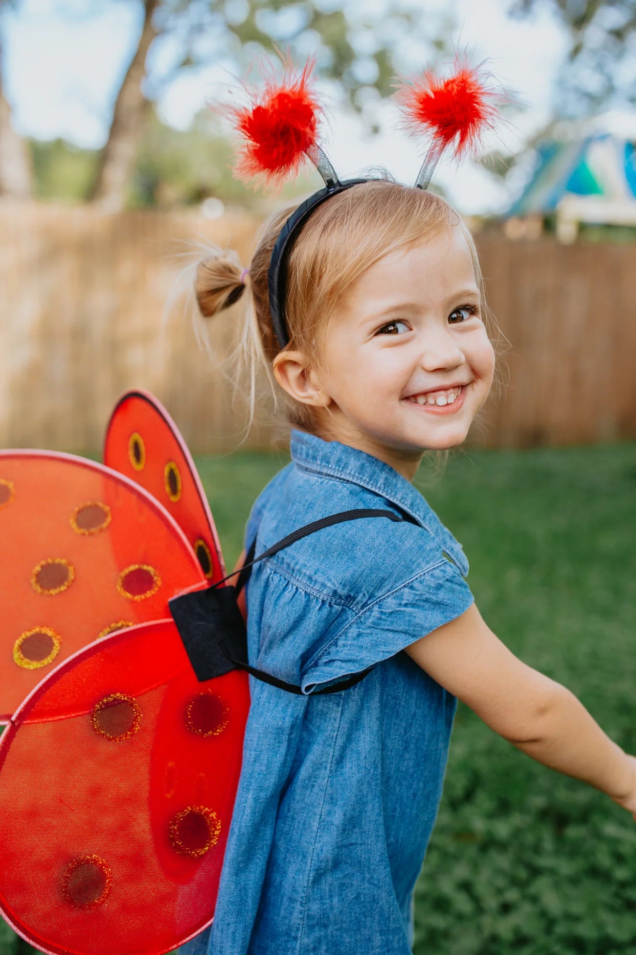 Lady Bug Wings and Headband