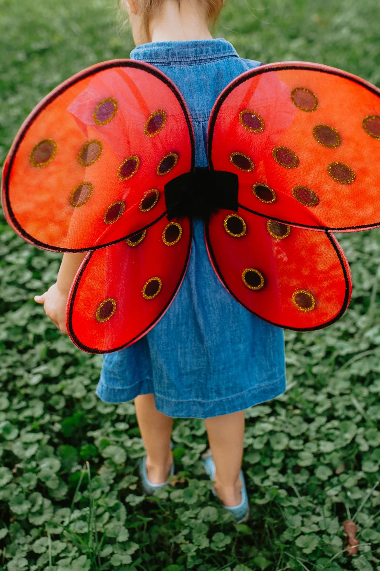Lady Bug Wings and Headband