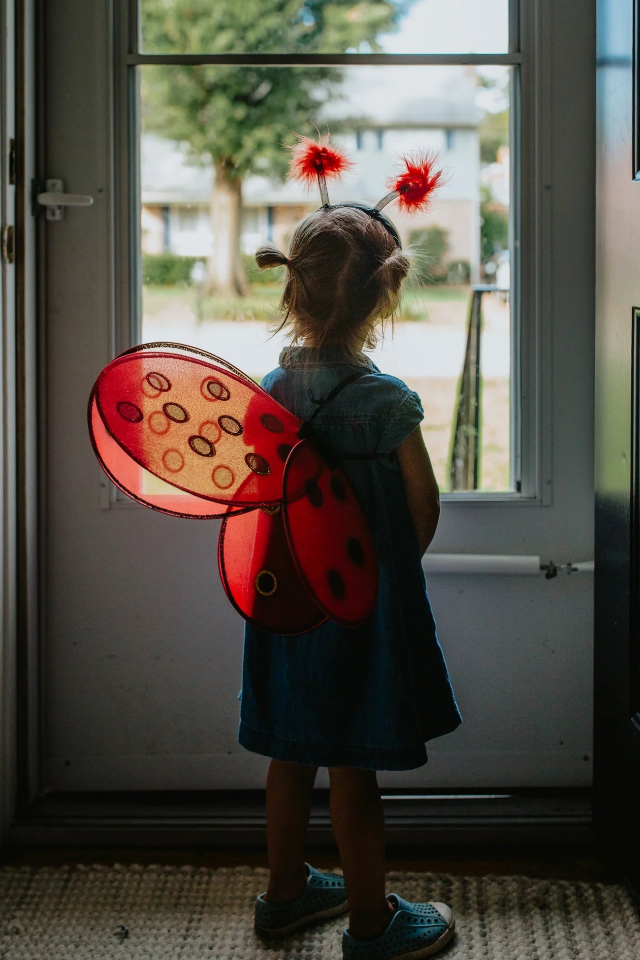 Lady Bug Wings and Headband