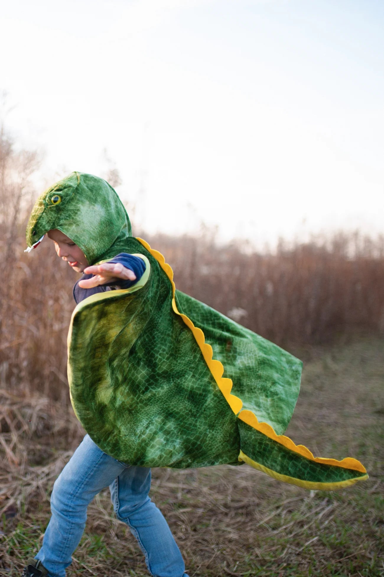 T-Rex Hooded Dino Cape
