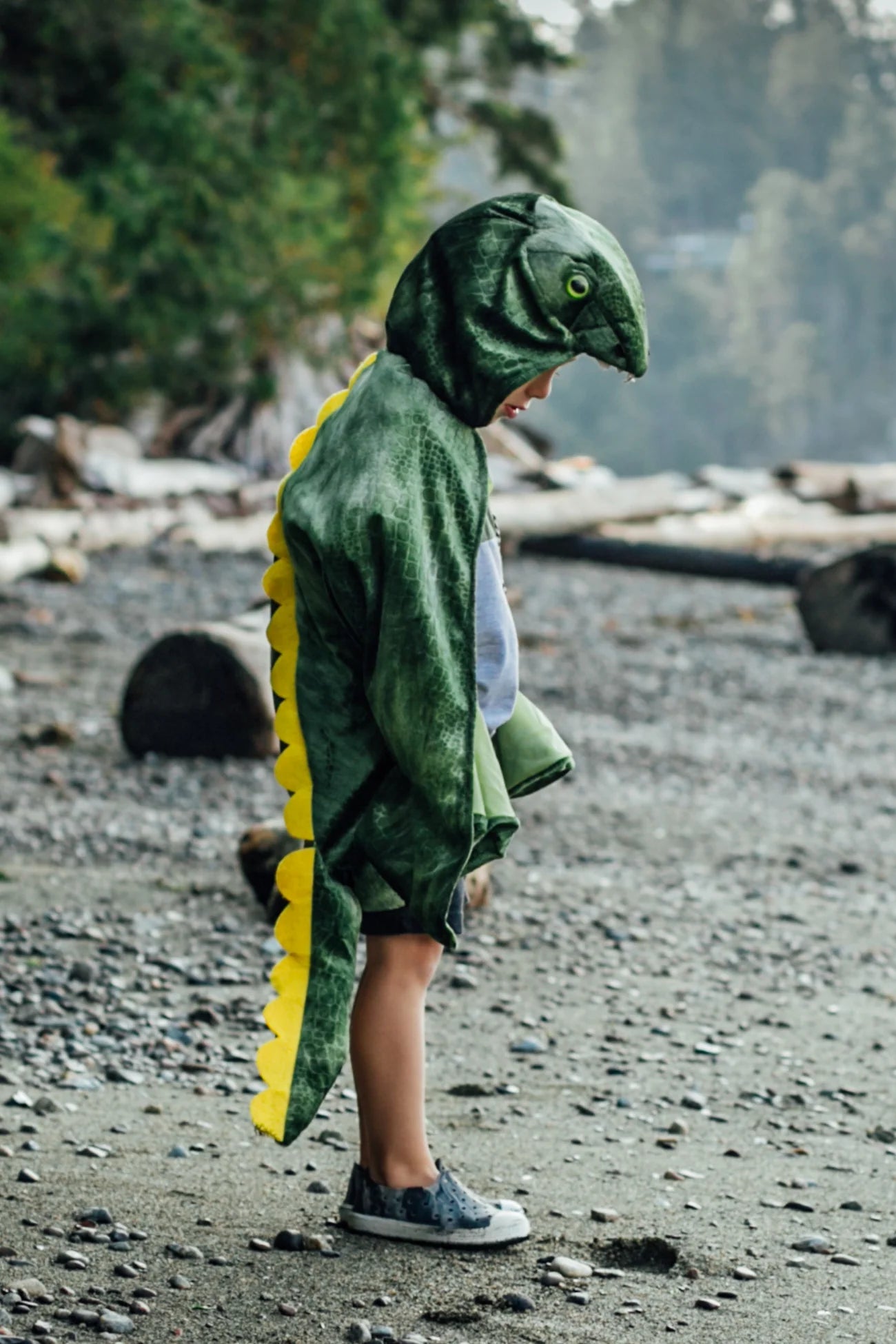T-Rex Hooded Dino Cape