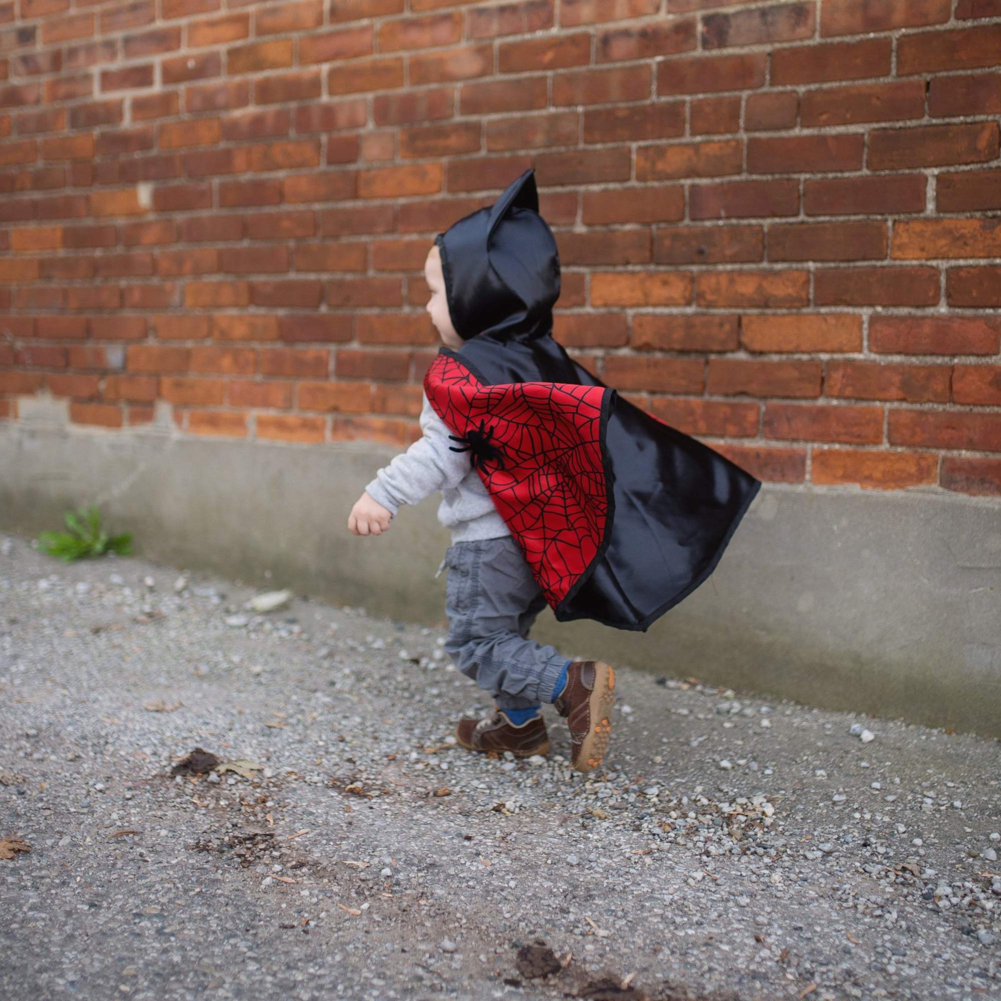 Reversible Spider Bat Cape