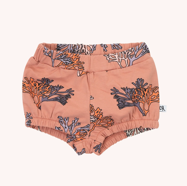 Coral Bloomer